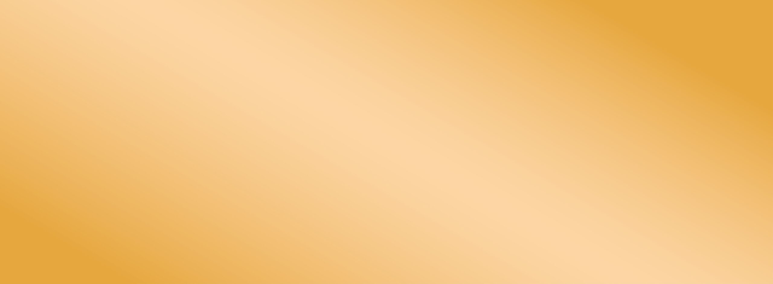 STELIS Homepage Slider Hintergrund Orange verlauf